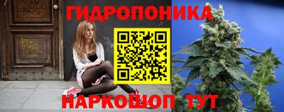 молекула духа Ярцево