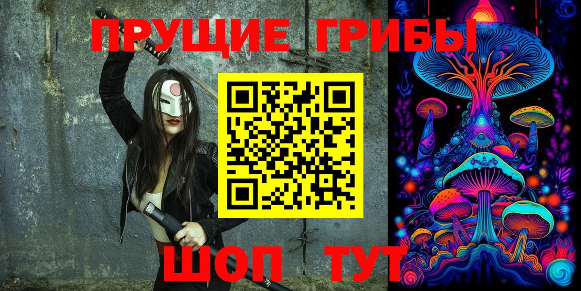 Галлюциногенные грибы Psilocybe Архангельск