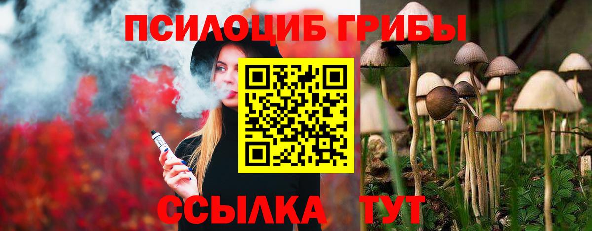 Архангельск  Галлюциногенные грибы ЛСД  где купить наркотик  Вход с VPN 